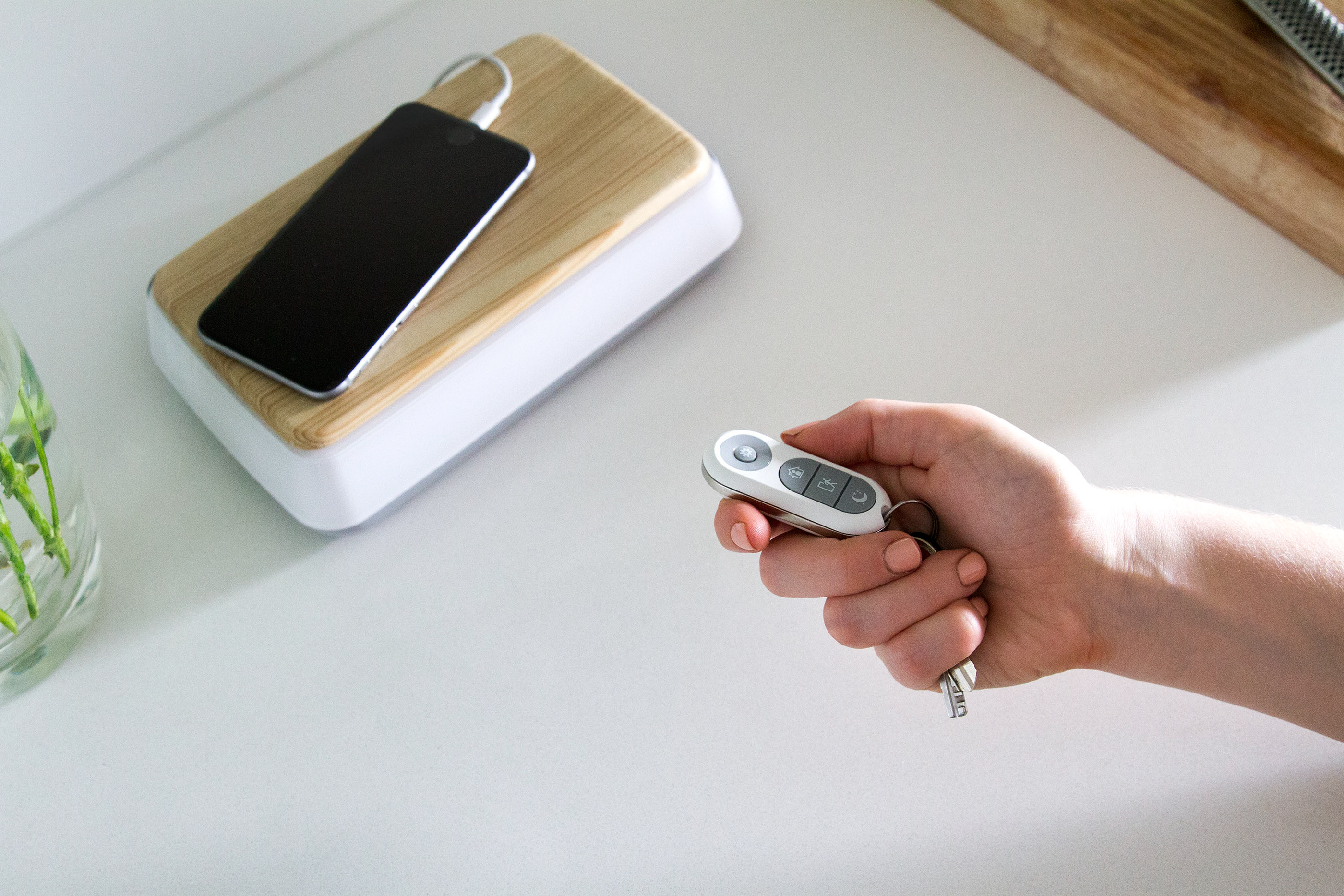 swann，Internet of things，Smart home，