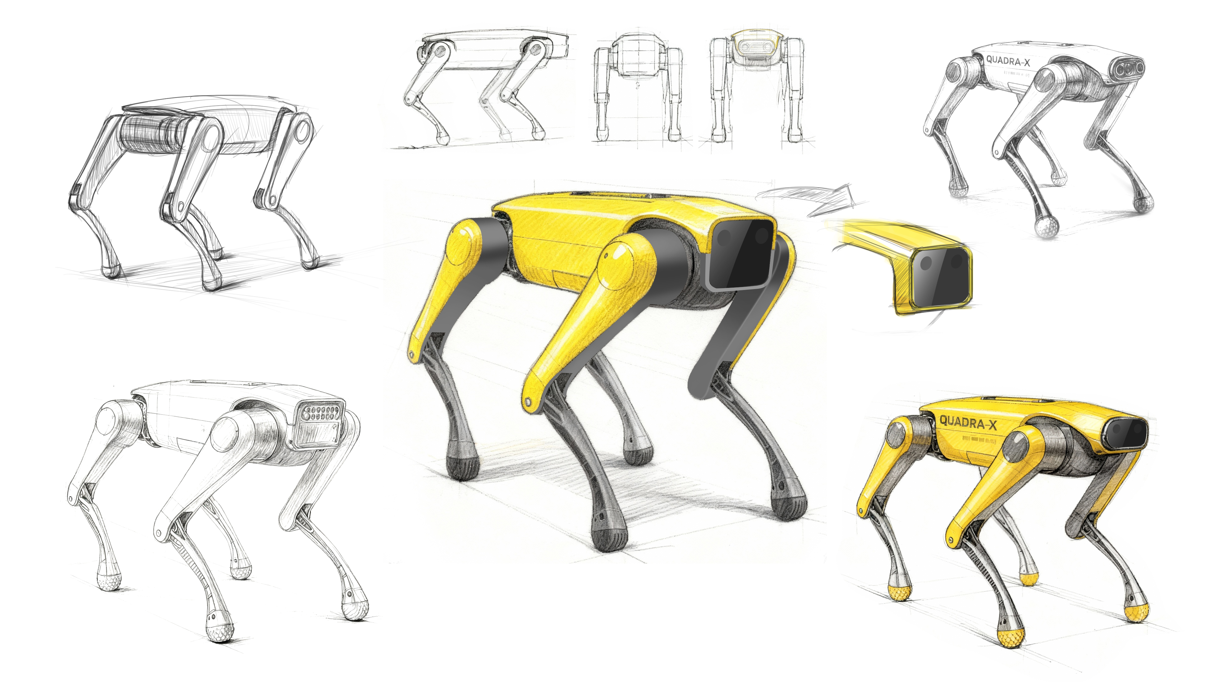 Body Intelligent Quadruped Robot Dog，