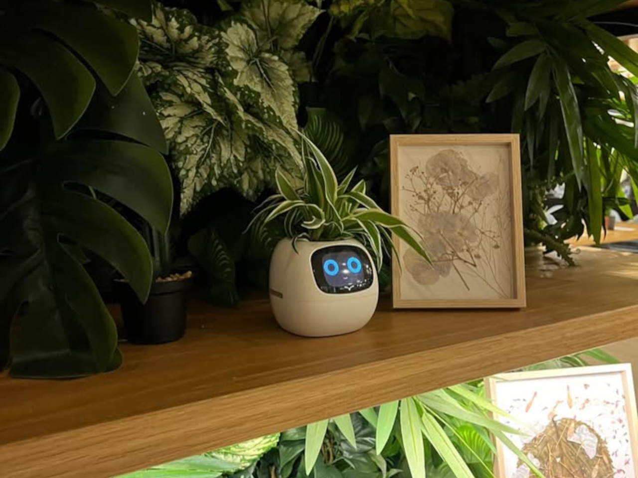 Smart Plant Ivy，Intelligent flowerpot，Housewear & Furnishings，Gardening tools，