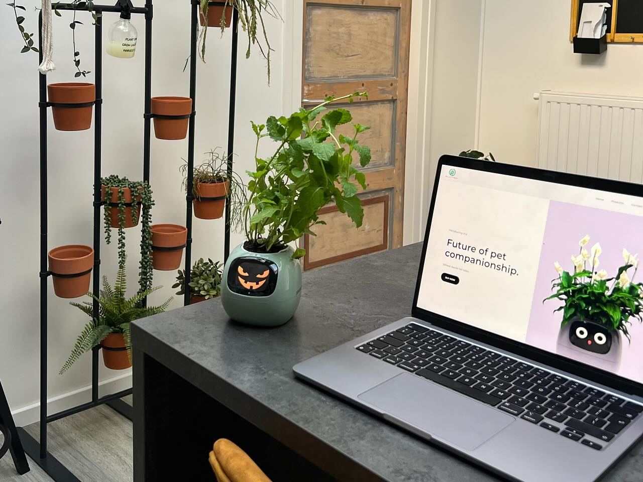 Smart Plant Ivy，Intelligent flowerpot，Housewear & Furnishings，Gardening tools，