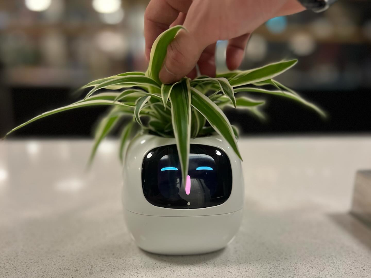 Smart Plant Ivy，Intelligent flowerpot，Housewear & Furnishings，Gardening tools，