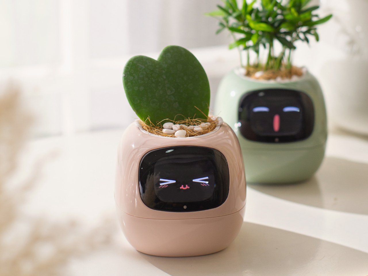 Smart Plant Ivy，Intelligent flowerpot，Housewear & Furnishings，Gardening tools，