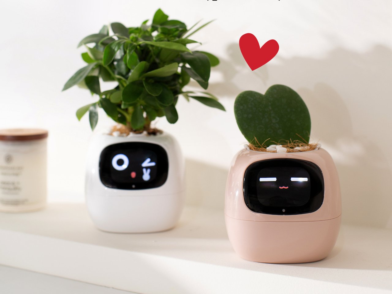 Smart Plant Ivy，Intelligent flowerpot，Housewear & Furnishings，Gardening tools，