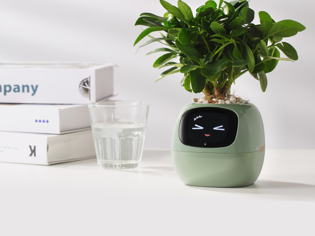 Smart Plant Ivy，Intelligent flowerpot，Housewear & Furnishings，Gardening tools，