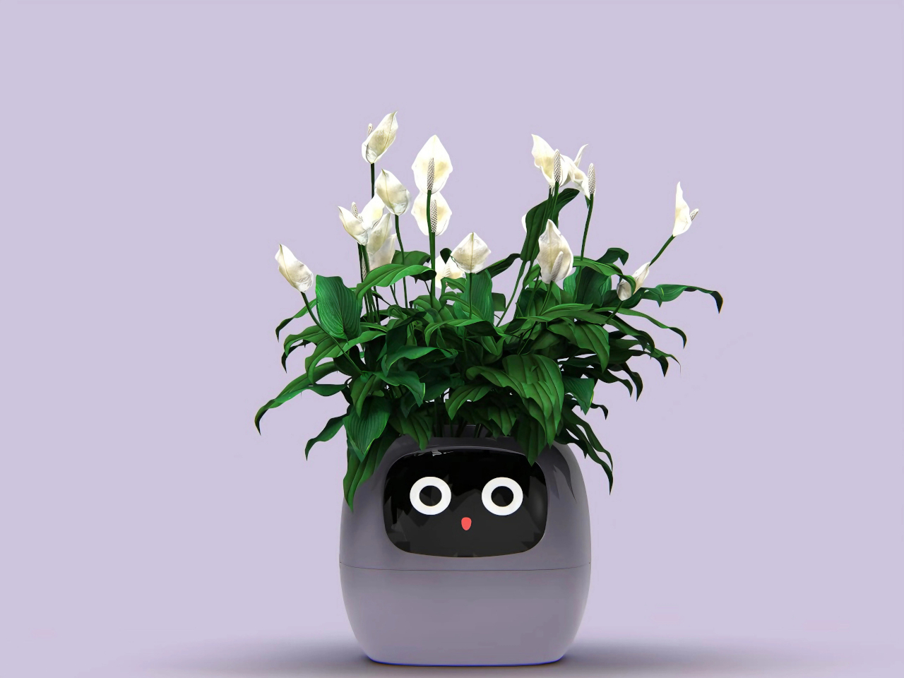 Smart Plant Ivy，Intelligent flowerpot，Housewear & Furnishings，Gardening tools，