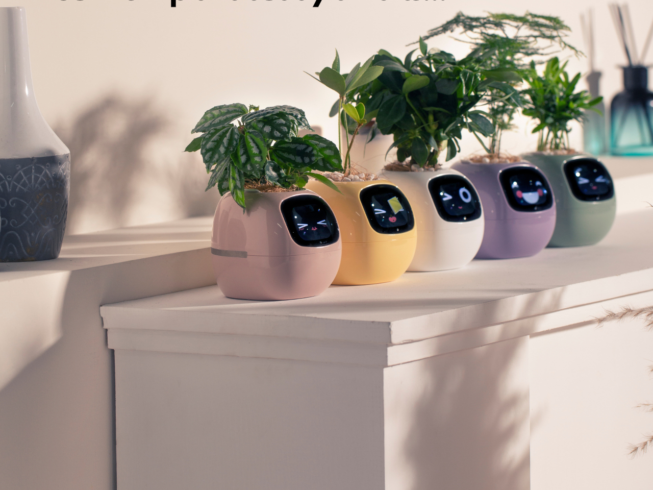 Smart Plant Ivy，Intelligent flowerpot，Housewear & Furnishings，Gardening tools，