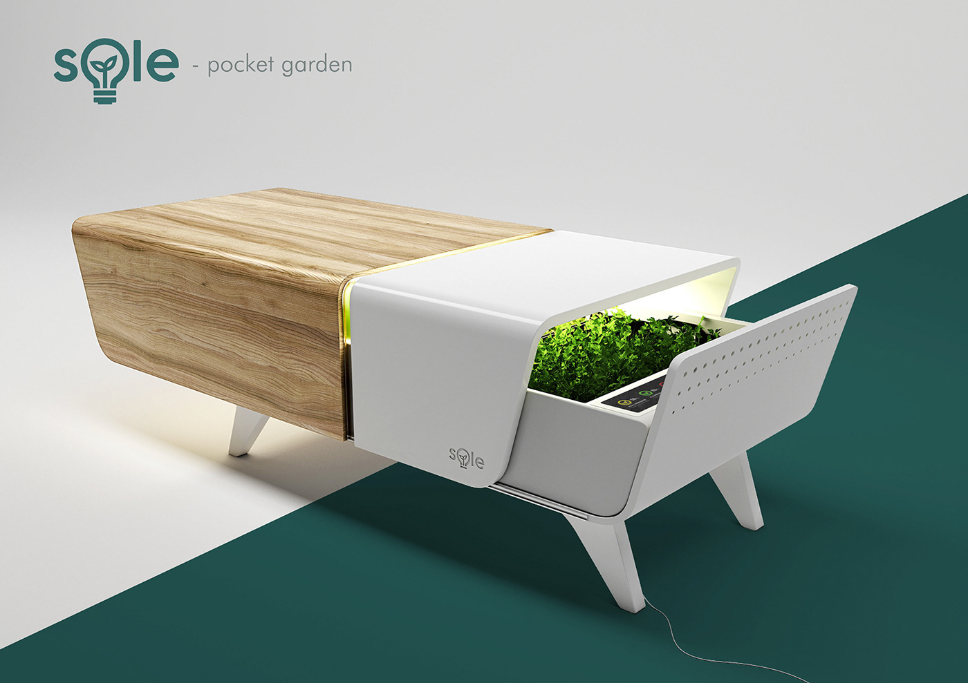 Botany，furniture，indoor，Reprint，