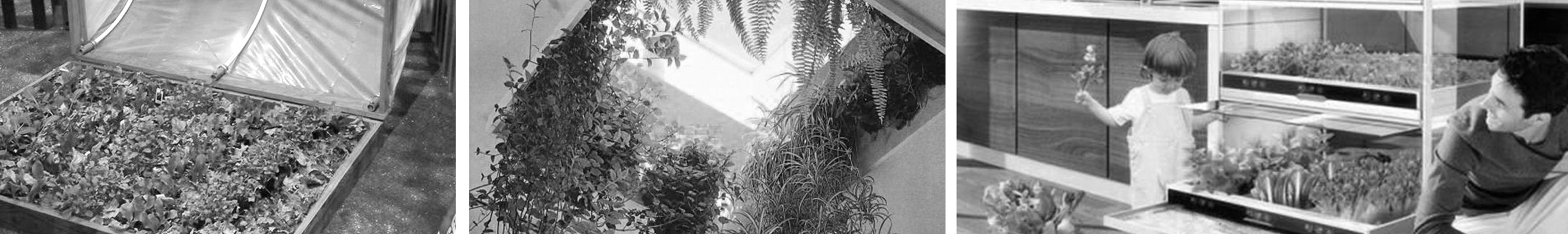 Botany，furniture，indoor，Reprint，