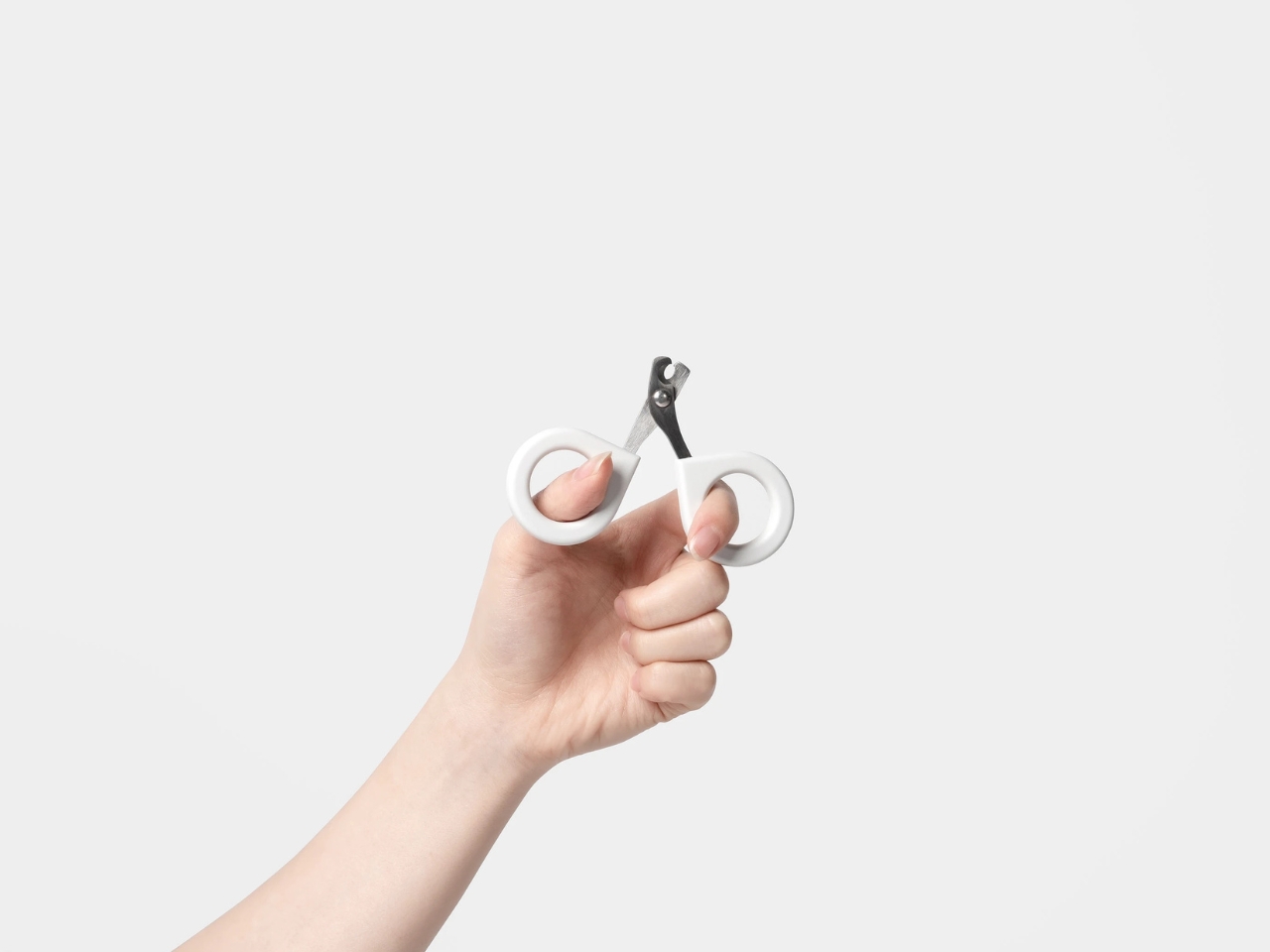 Mew，Cat Care suit，Pet Supplies & Pet，originality，