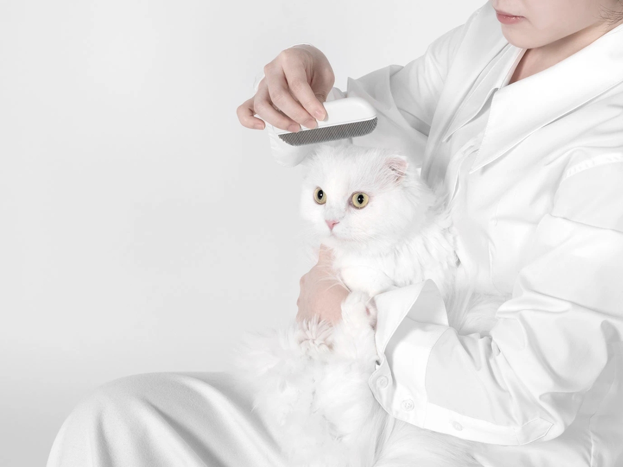 Mew，Cat Care suit，Pet Supplies & Pet，originality，