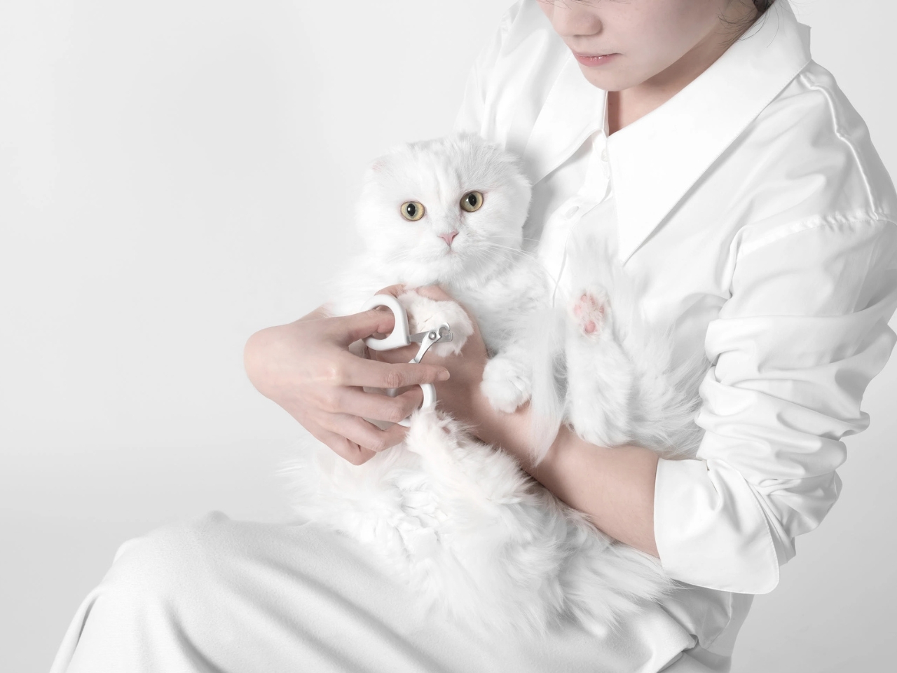 Mew，Cat Care suit，Pet Supplies & Pet，originality，