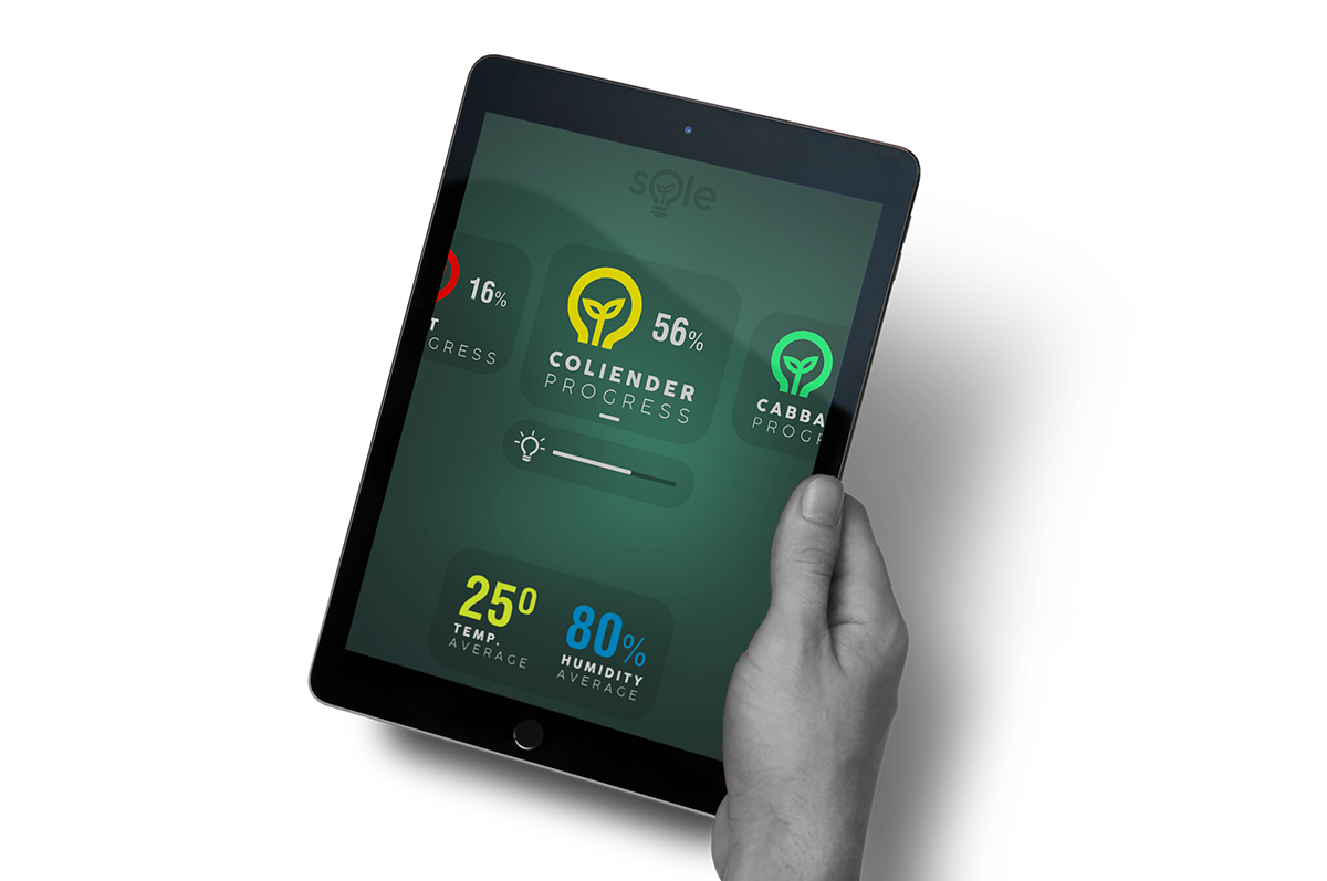 Botany，furniture，indoor，Reprint，