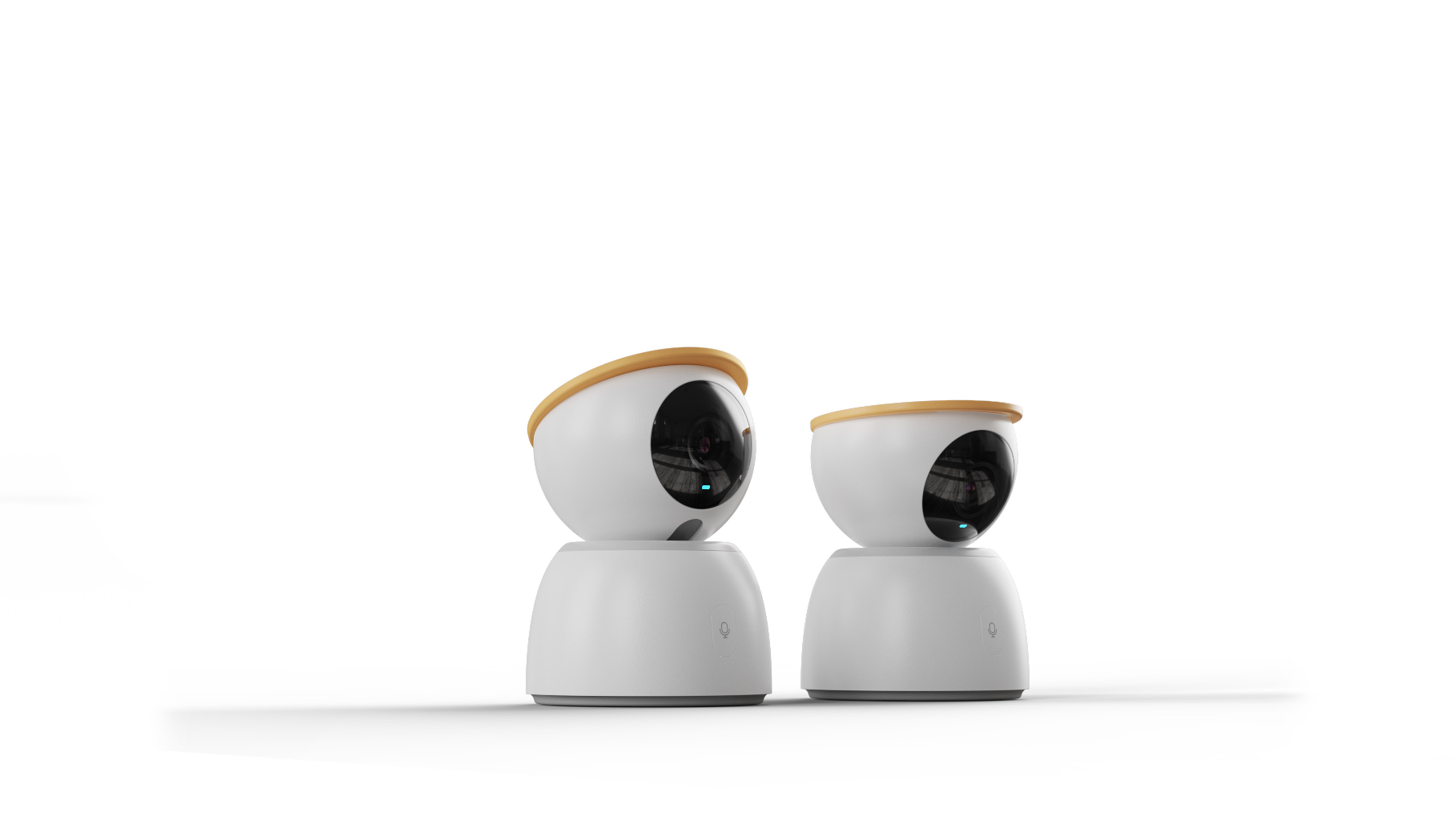 camera，Home，guard，accompany，