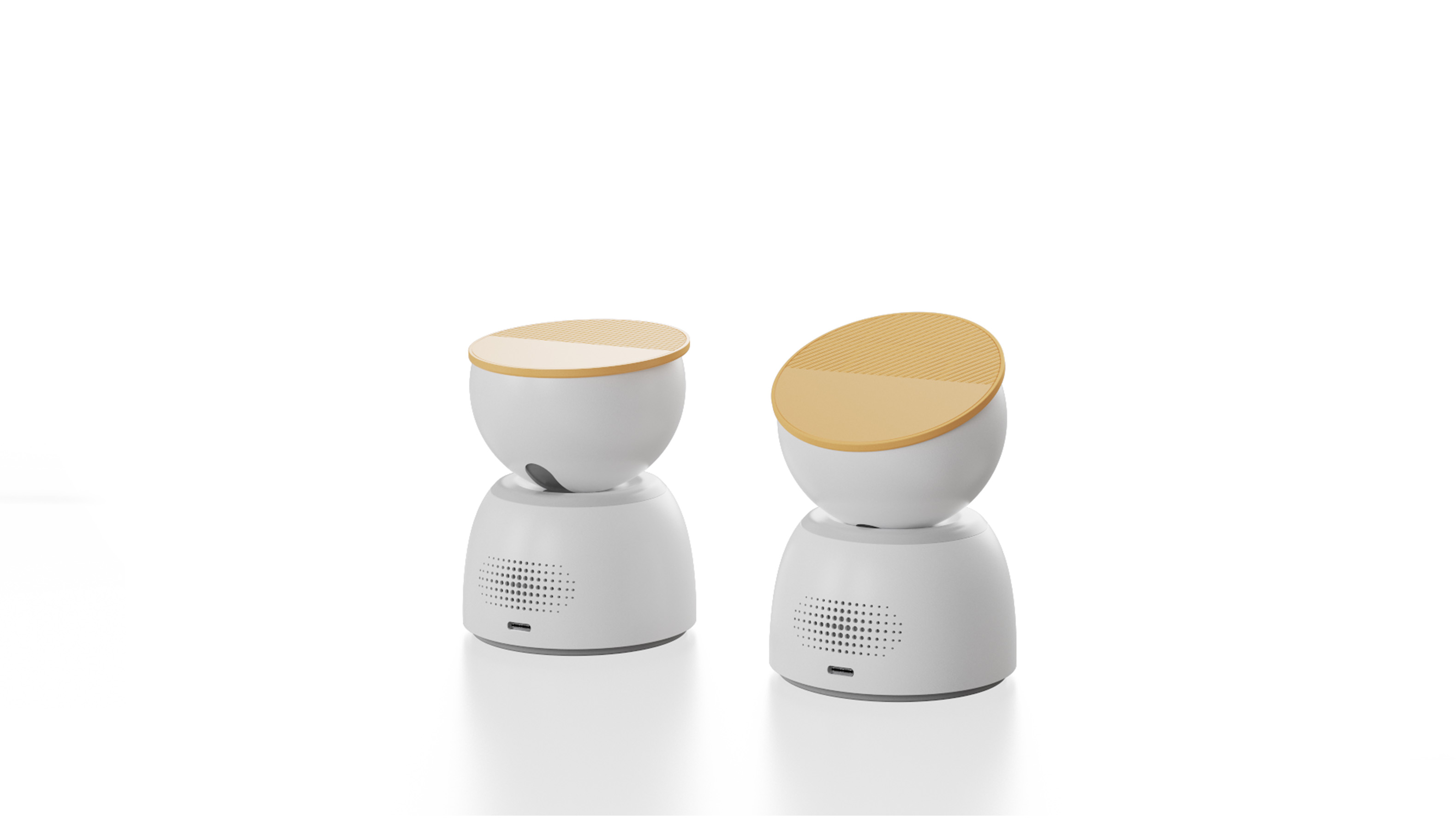 camera，Home，guard，accompany，