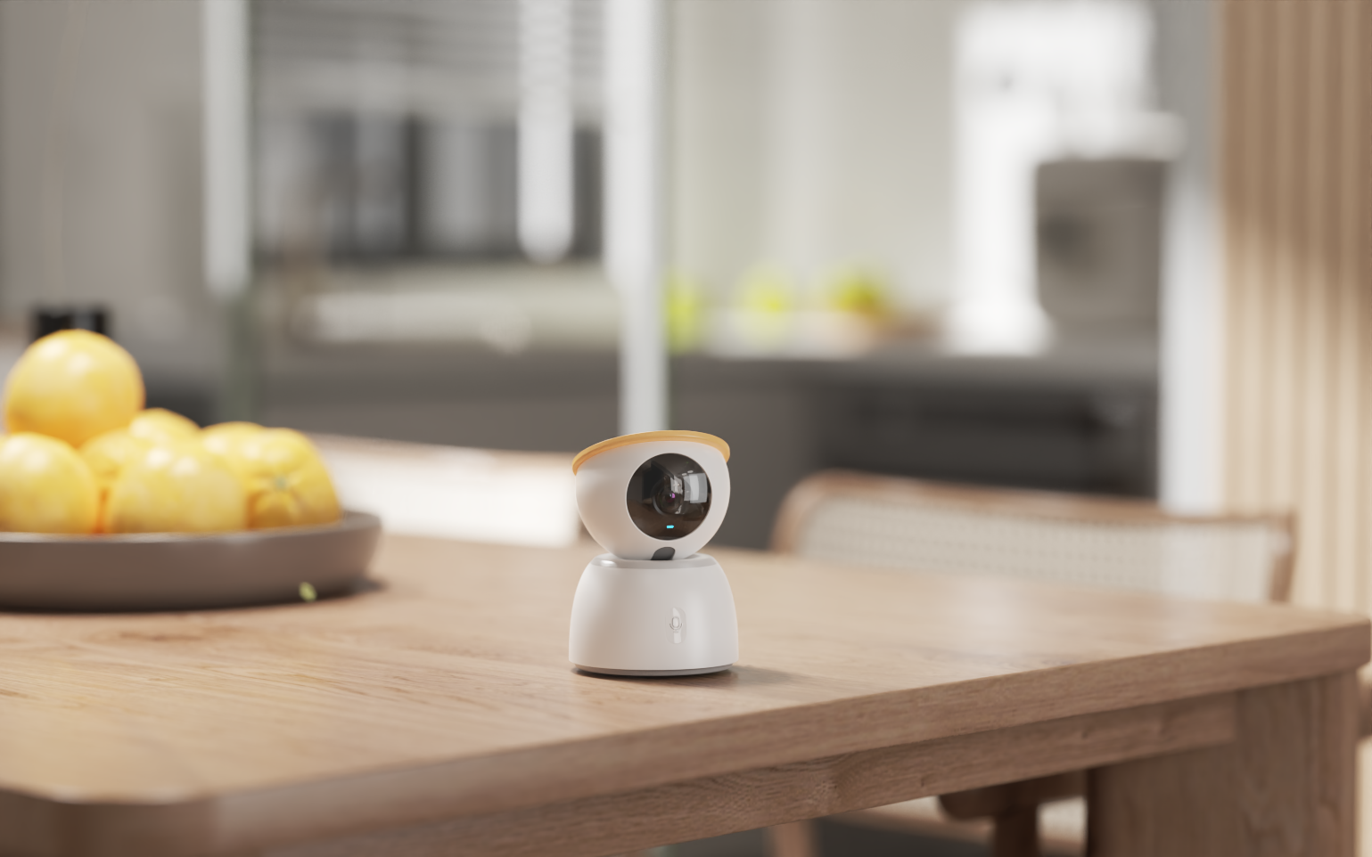 camera，Home，guard，accompany，