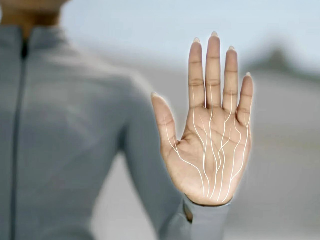 Palm vein recognition，Biometrics，Digital，Electronics，