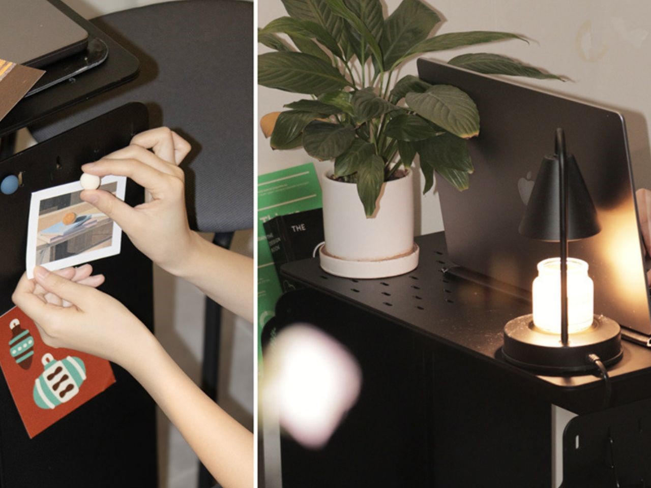 Chameleon Furniture，furniture，diy，Housewear & Furnishings，