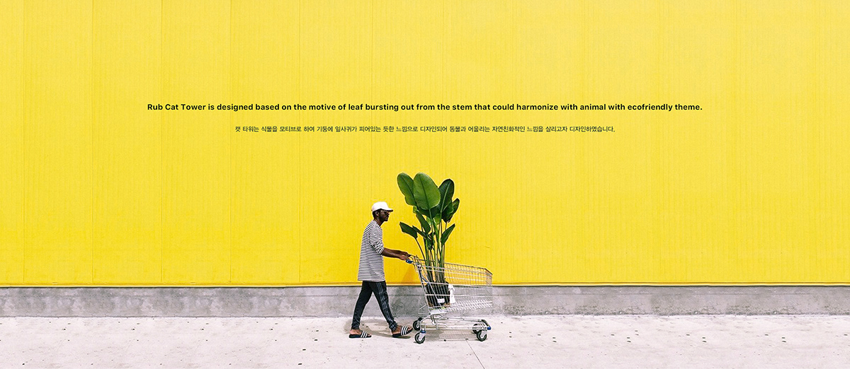 Vacuum cleaner，Pets，Cat tower，respiratory disease，allergy，Fly ，cat，