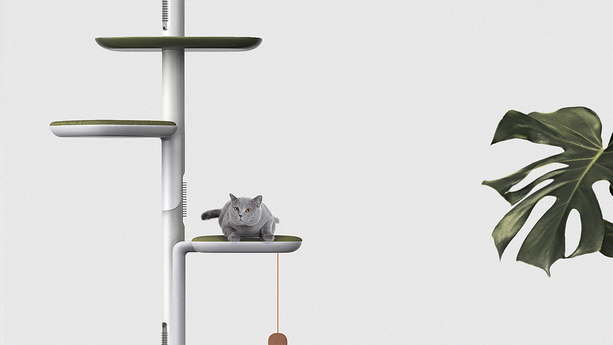 Vacuum cleaner，Pets，Cat tower，respiratory disease，allergy，Fly ，cat，