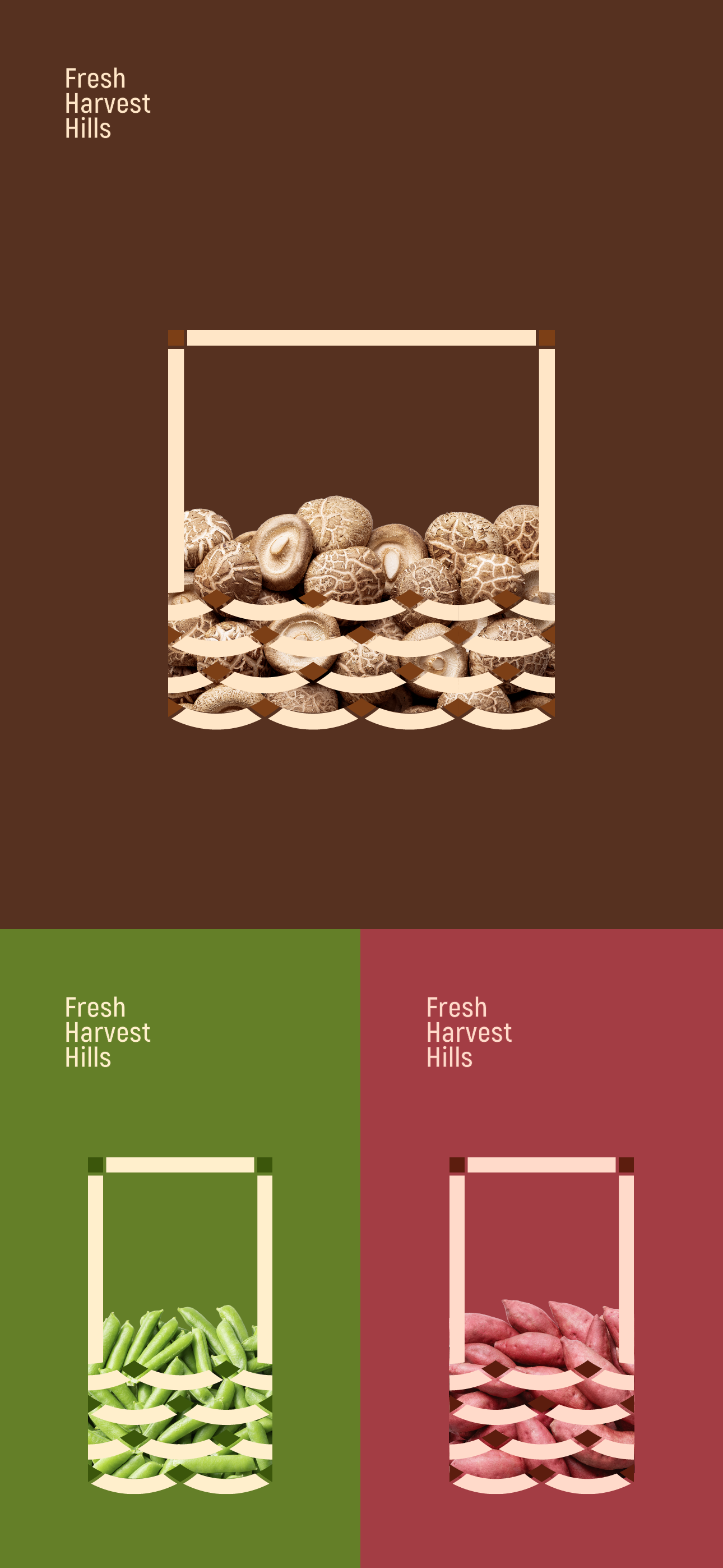 Brand design，packing design，Illustration packaging，Layout design，Original works，North and South Mountain Goods，3D rendering，Packaging technology，