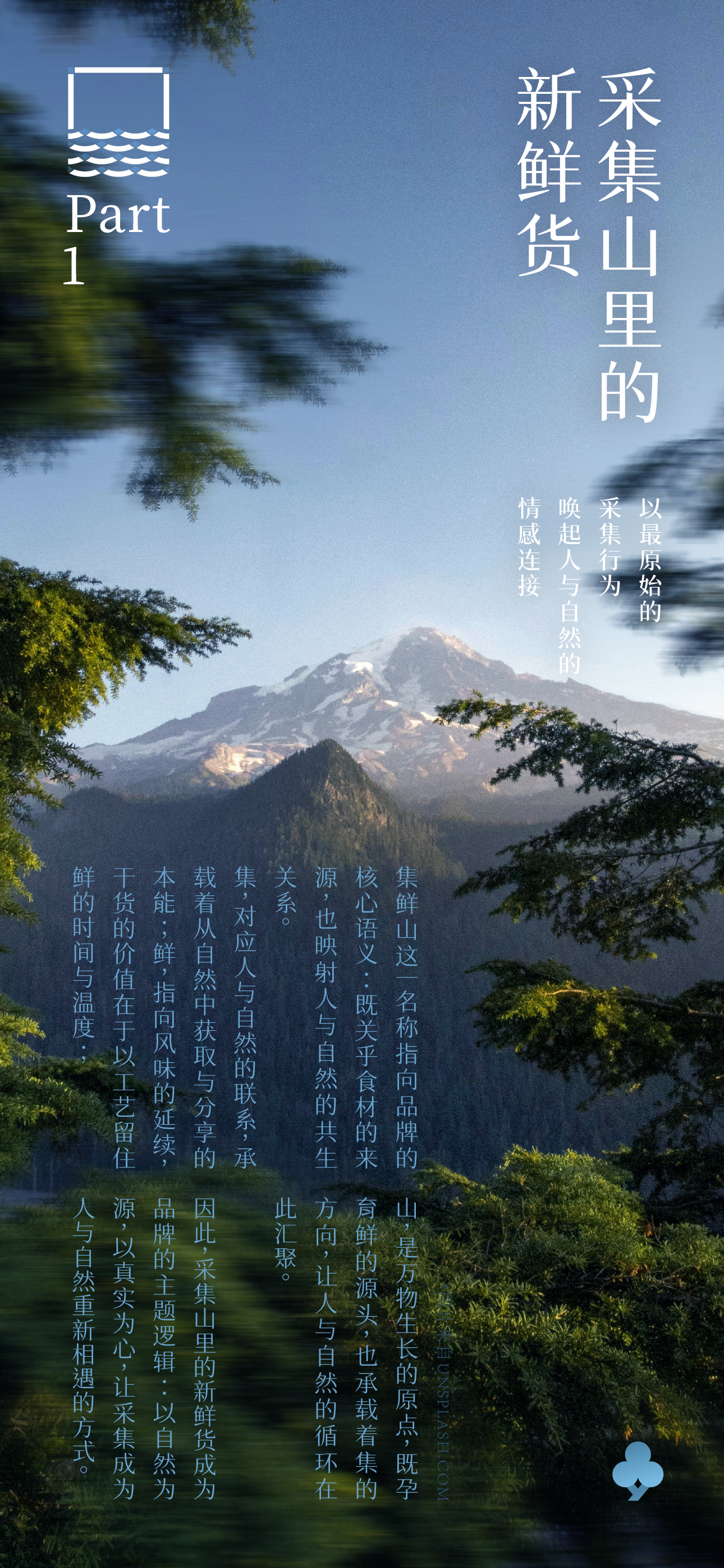 Brand design，packing design，Illustration packaging，Layout design，Original works，North and South Mountain Goods，3D rendering，Packaging technology，