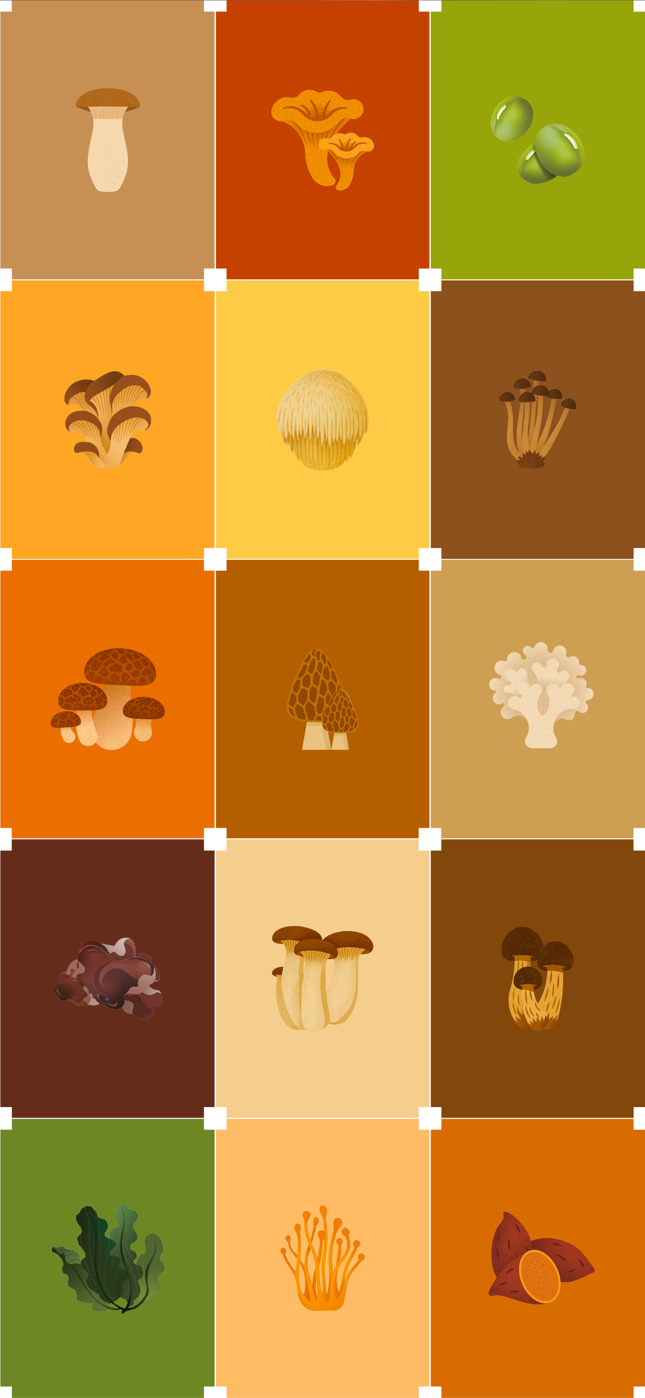 Brand design，packing design，Illustration packaging，Layout design，Original works，North and South Mountain Goods，3D rendering，Packaging technology，