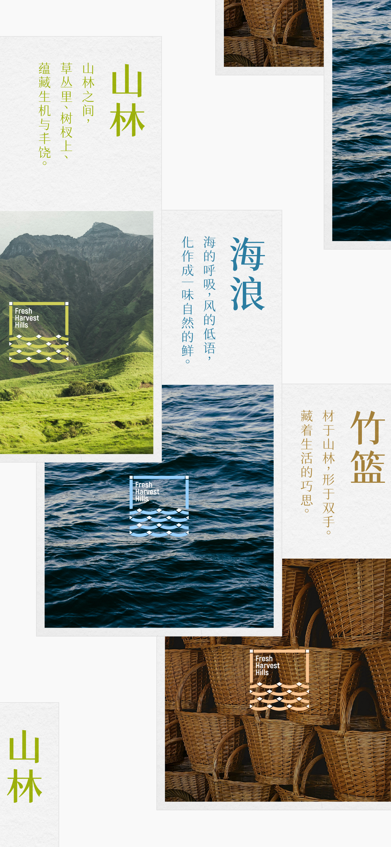 Brand design，packing design，Illustration packaging，Layout design，Original works，North and South Mountain Goods，3D rendering，Packaging technology，