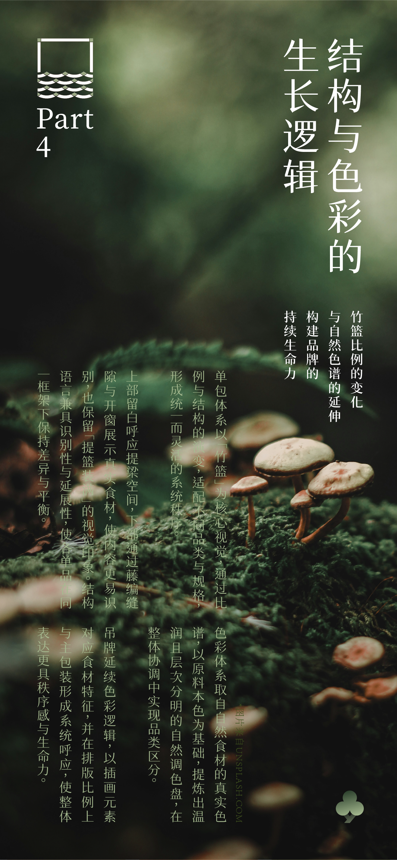 Brand design，packing design，Illustration packaging，Layout design，Original works，North and South Mountain Goods，3D rendering，Packaging technology，