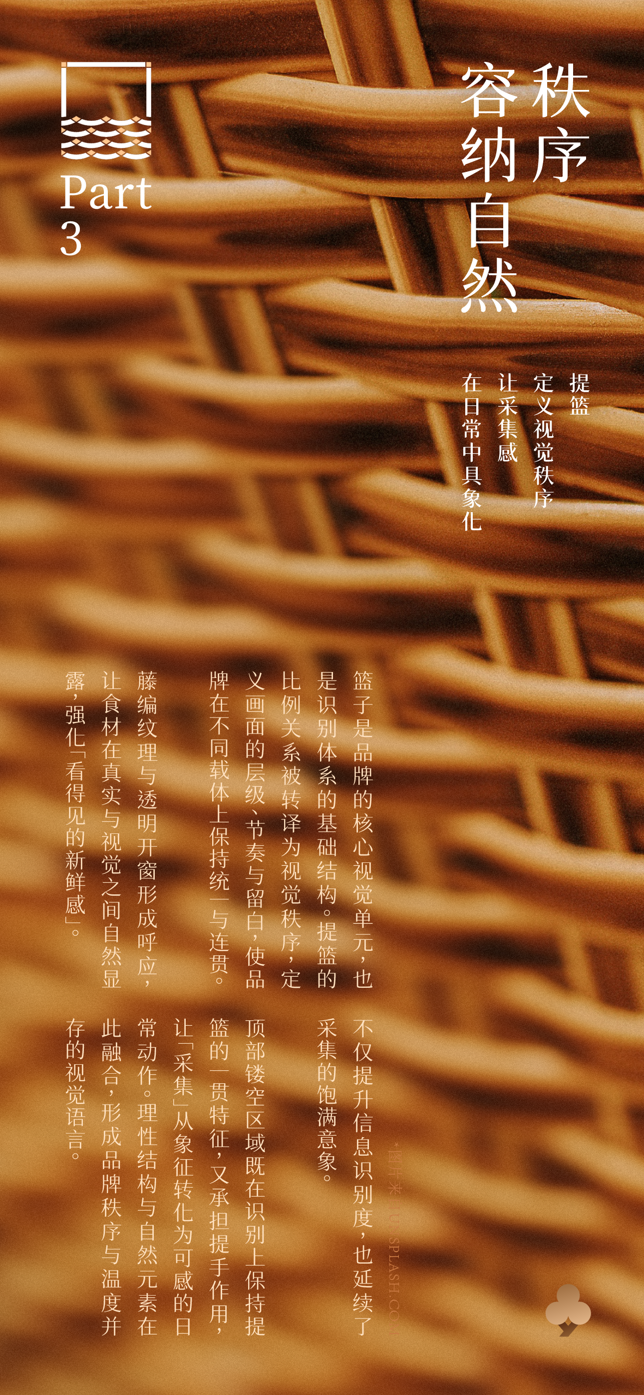 Brand design，packing design，Illustration packaging，Layout design，Original works，North and South Mountain Goods，3D rendering，Packaging technology，