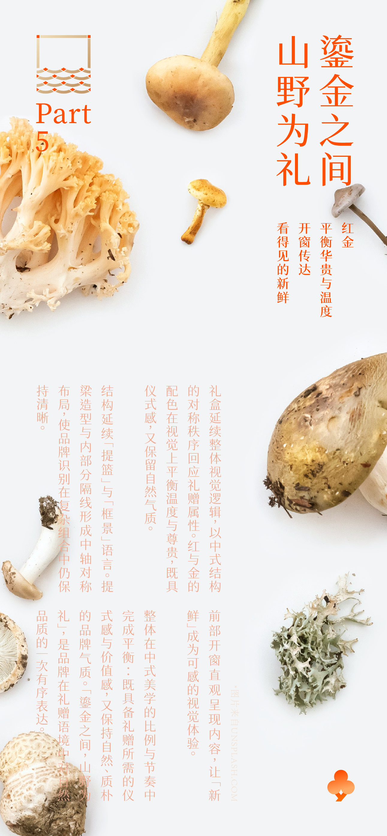 Brand design，packing design，Illustration packaging，Layout design，Original works，North and South Mountain Goods，3D rendering，Packaging technology，