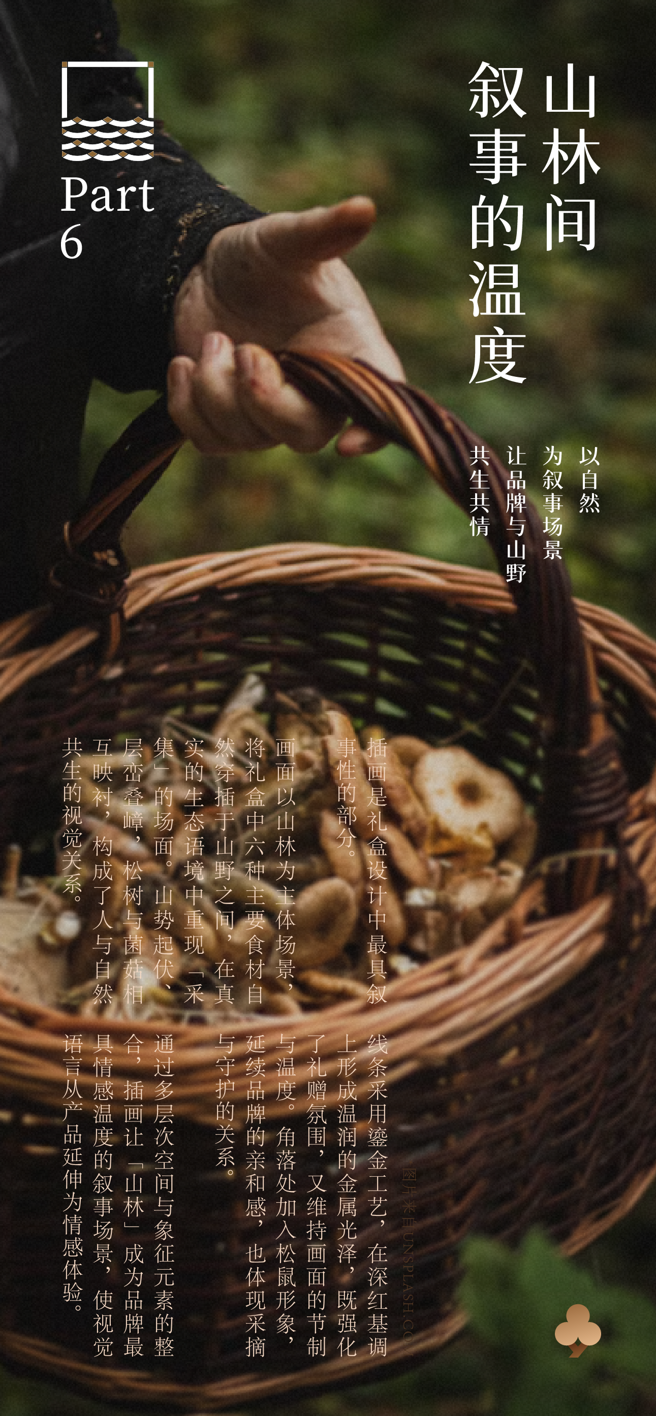 Brand design，packing design，Illustration packaging，Layout design，Original works，North and South Mountain Goods，3D rendering，Packaging technology，