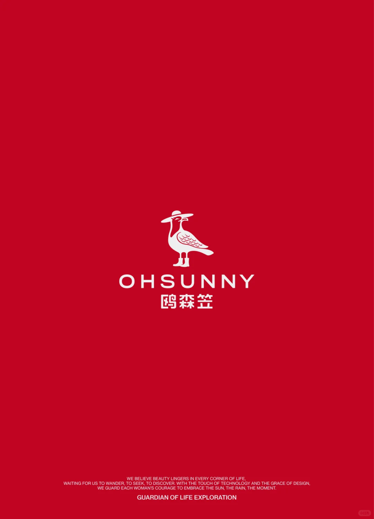 Original design，Brand design，Brand upgrade，Brand Standard Word，