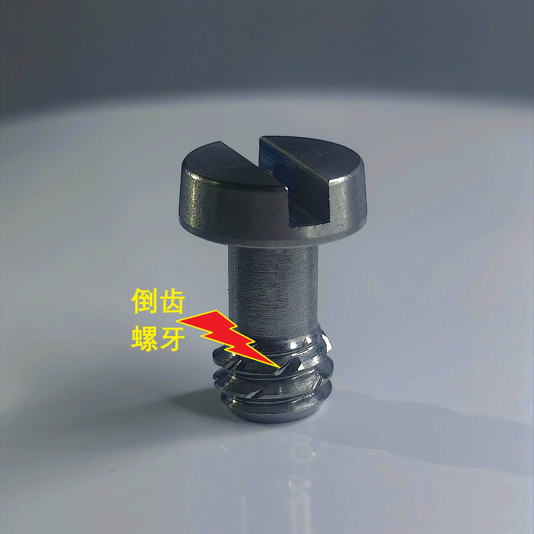 Camera Screw，Photography Screws，1/4 universal screw，New photography camera screw，Stainless Steel Camera Screws，Anti-loosening and anti-seismic screws，