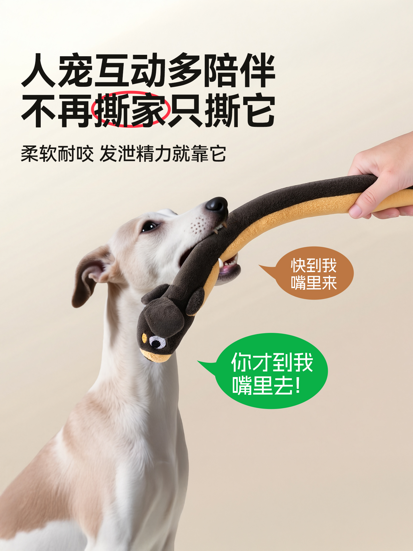 Pet toys，Dog toys，Plush toys，