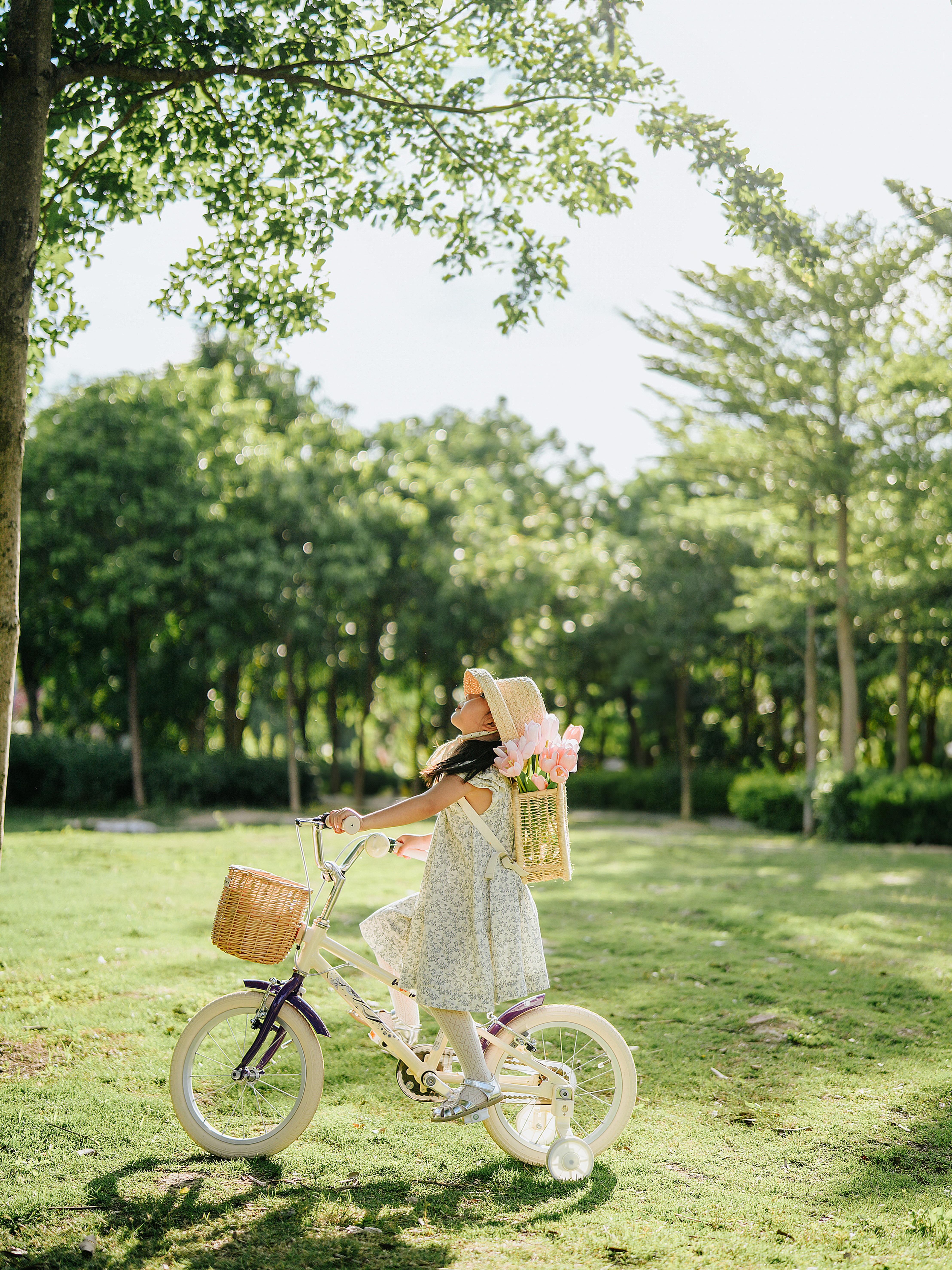 Painting，originality，Bicycle，Children bicycle，The Big Artist，