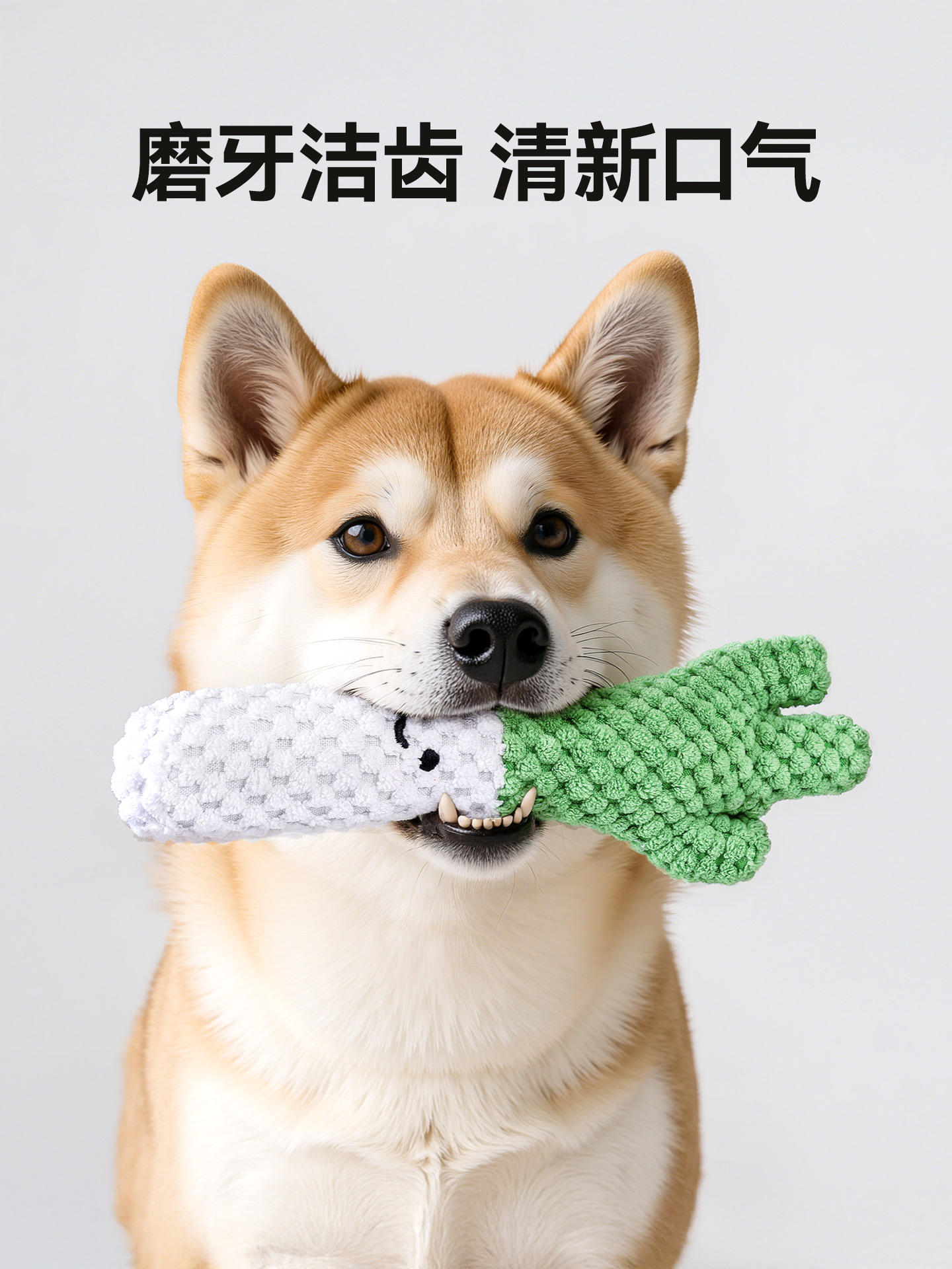 Pet toys，Plush toys，