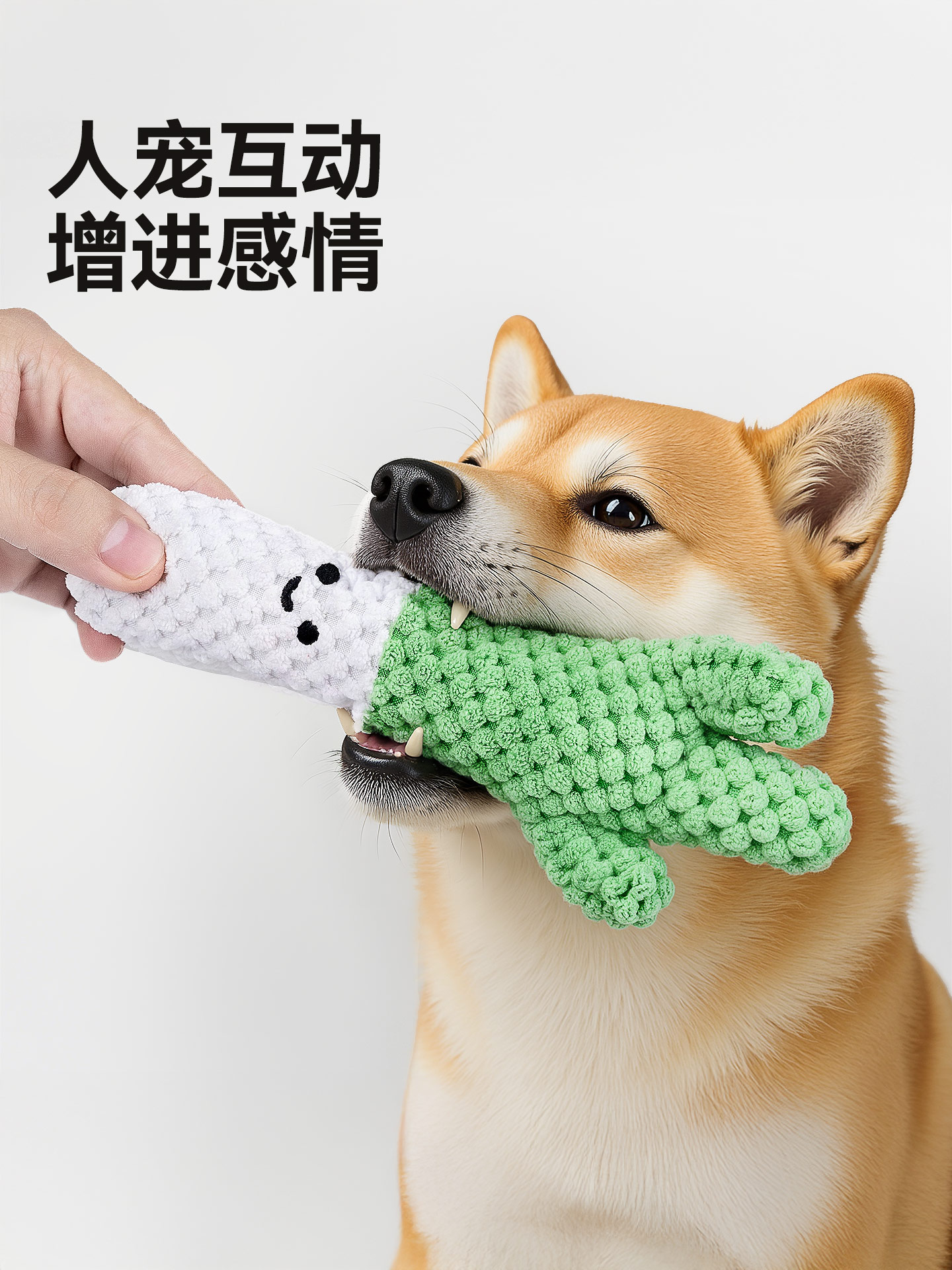 Pet toys，Plush toys，