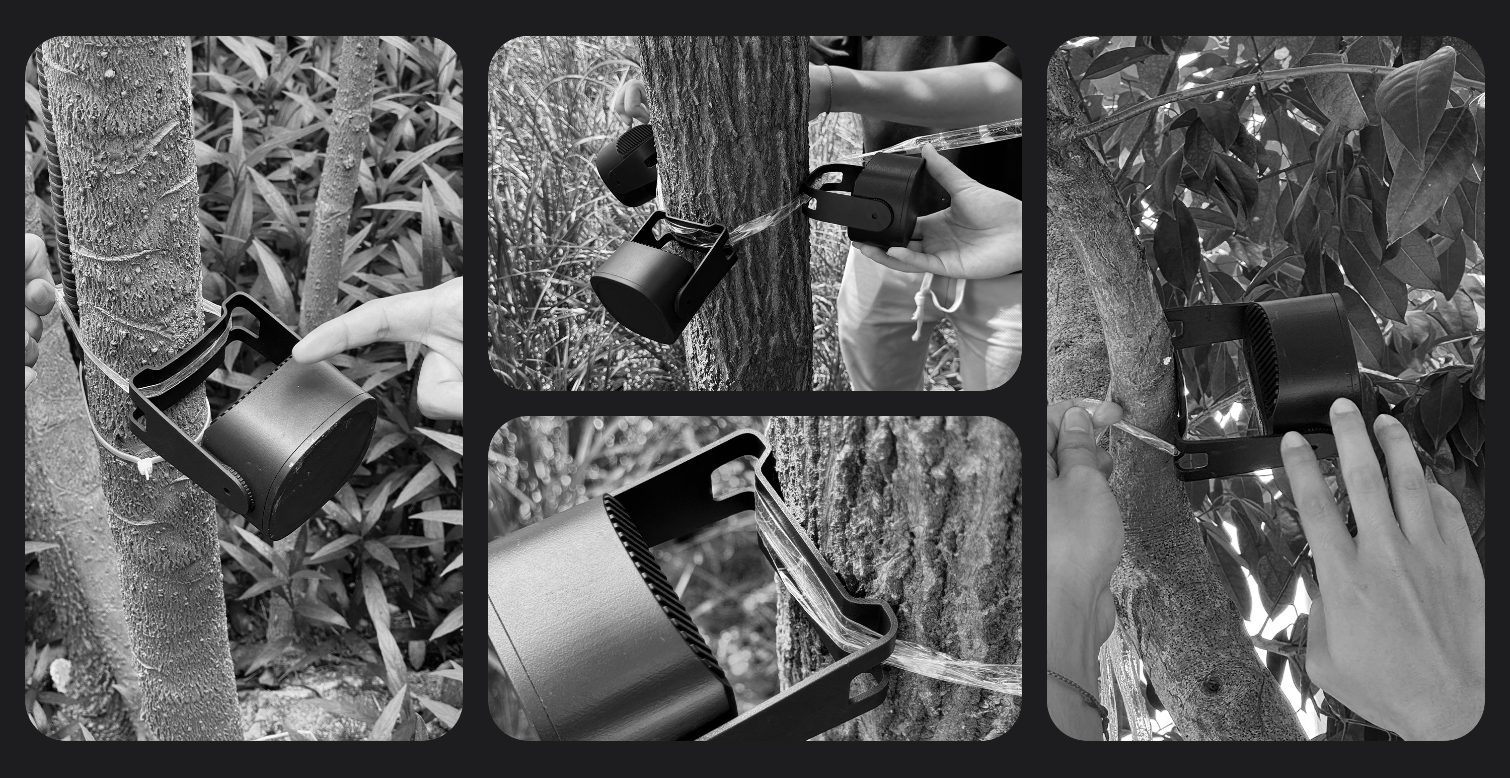 Zhiyan，sinzyuan，lamps and lanterns，lighting，