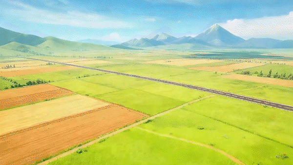 c4d，ae，PR，ps，