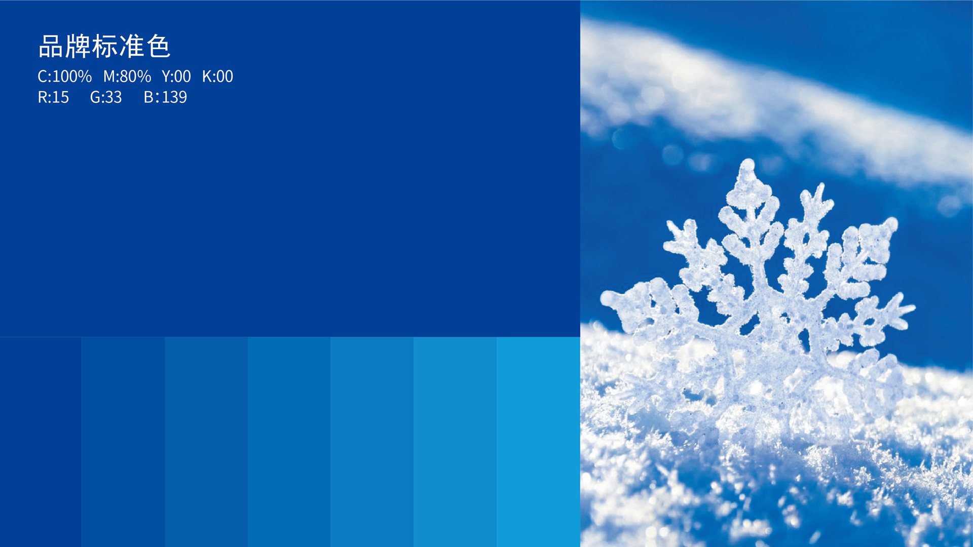 Craft Beer Packaging Design，Beer packaging design，Gu Yi design，Beer Logo Design，