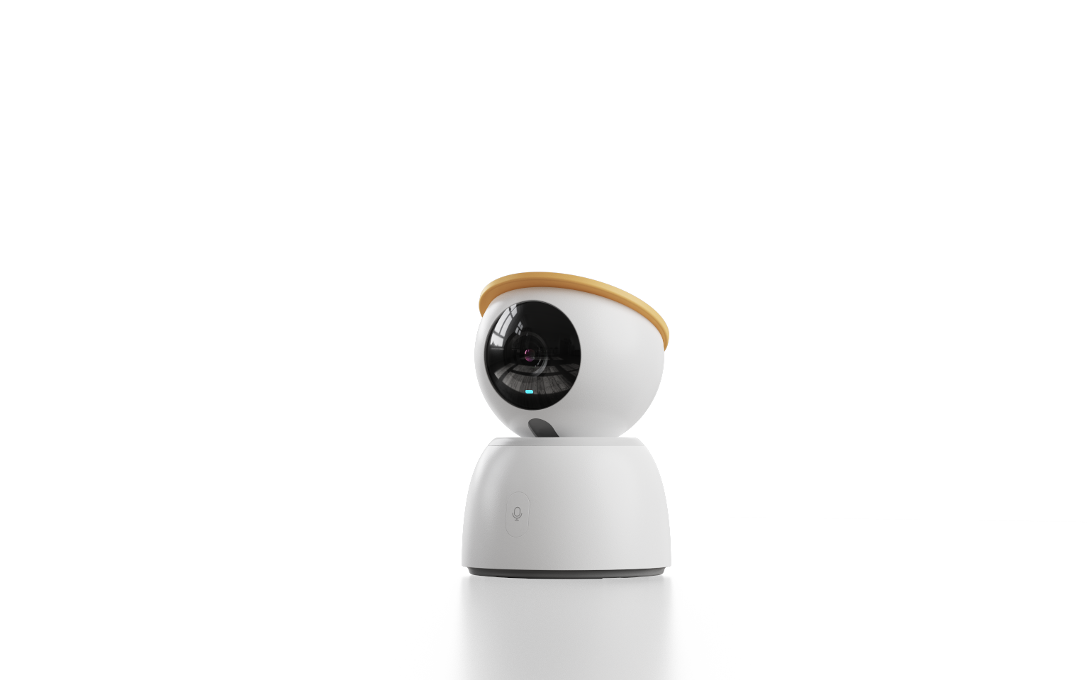 camera，Home，guard，accompany，