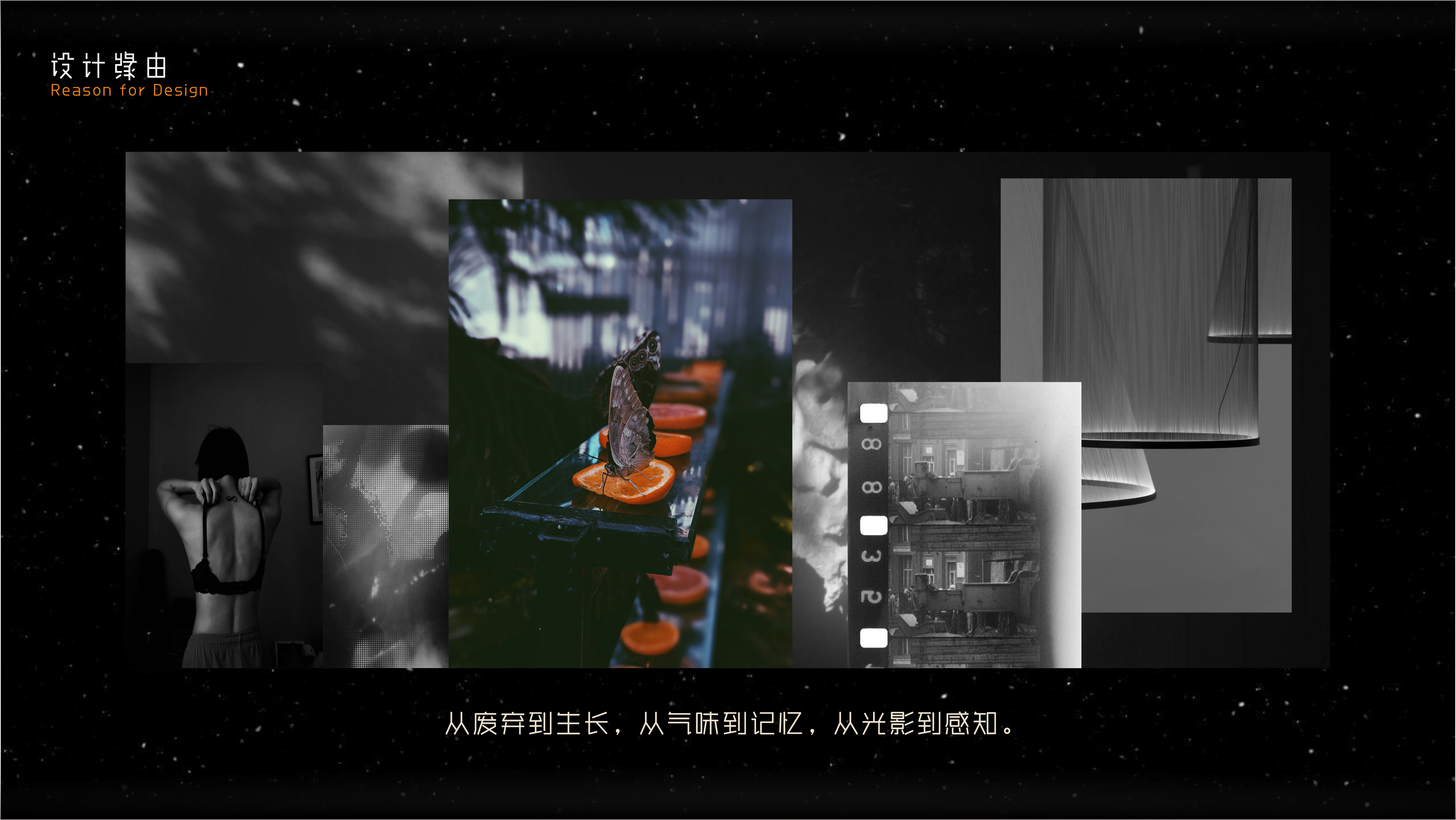 lamps and lanterns，household electrical appliances，environment protection，humanity，