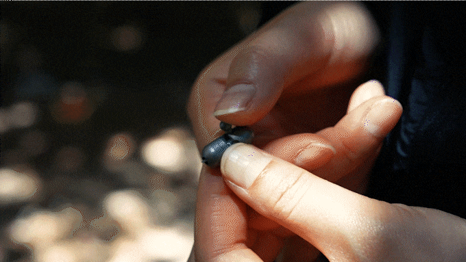 EDC，tool，Cutter，PeaCut，