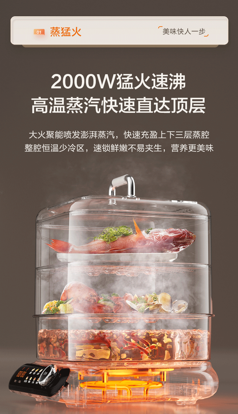 Electric steamer，Kitchen appliances，Multifunctional electric steamer，Home Appliances，