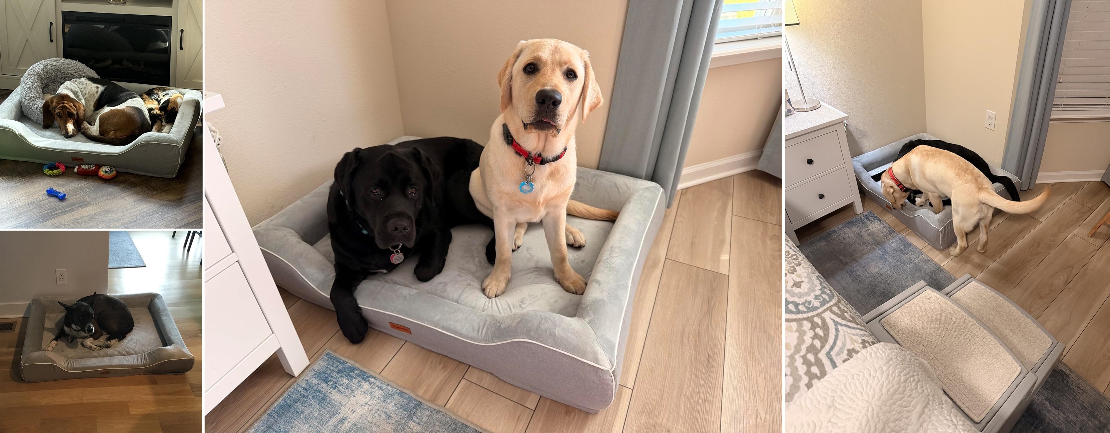 dog sofa, kennel, dog bed, bone shaped dog bed, pet supplies，