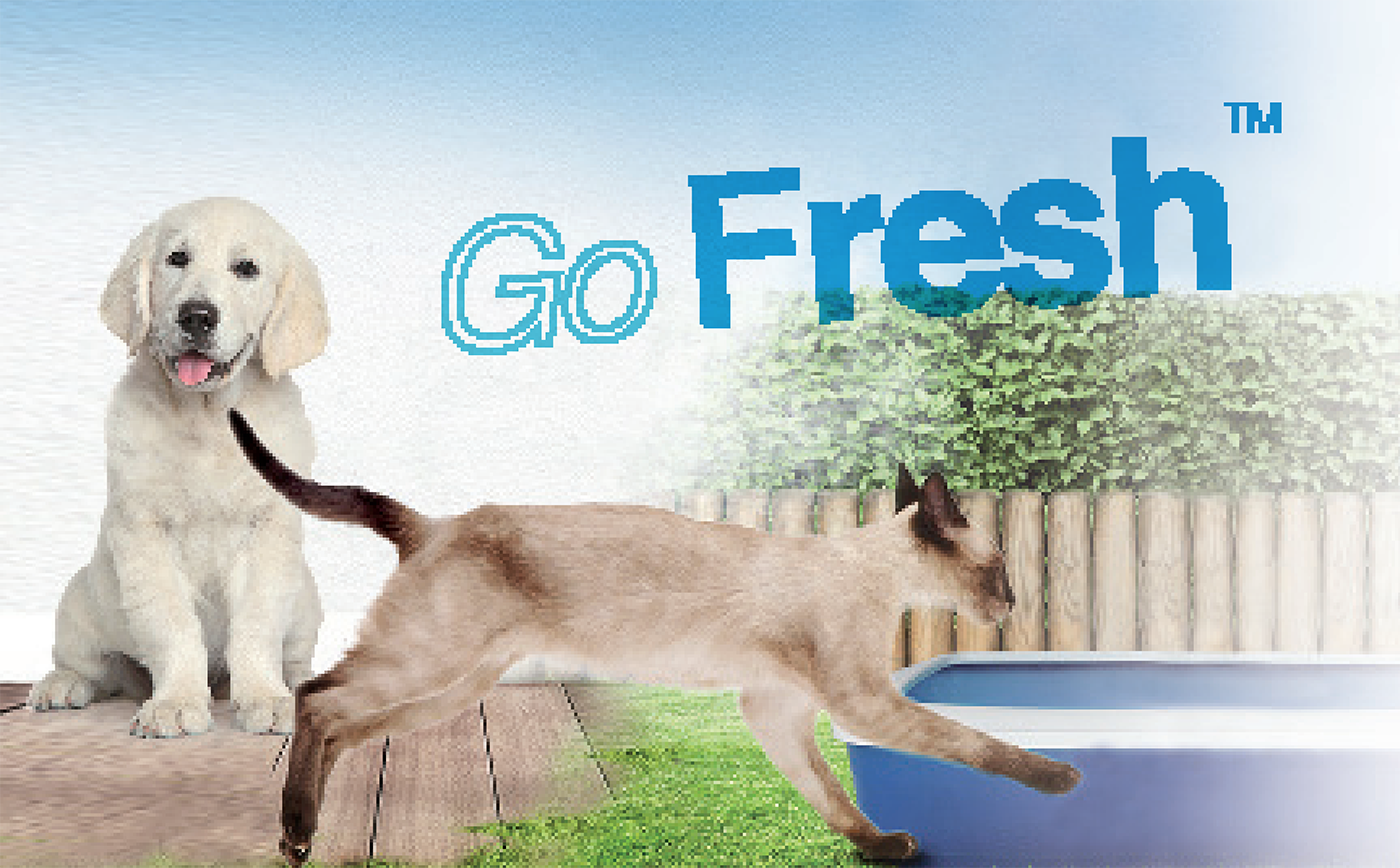 Pet toys，electronic product，silicone plastic，