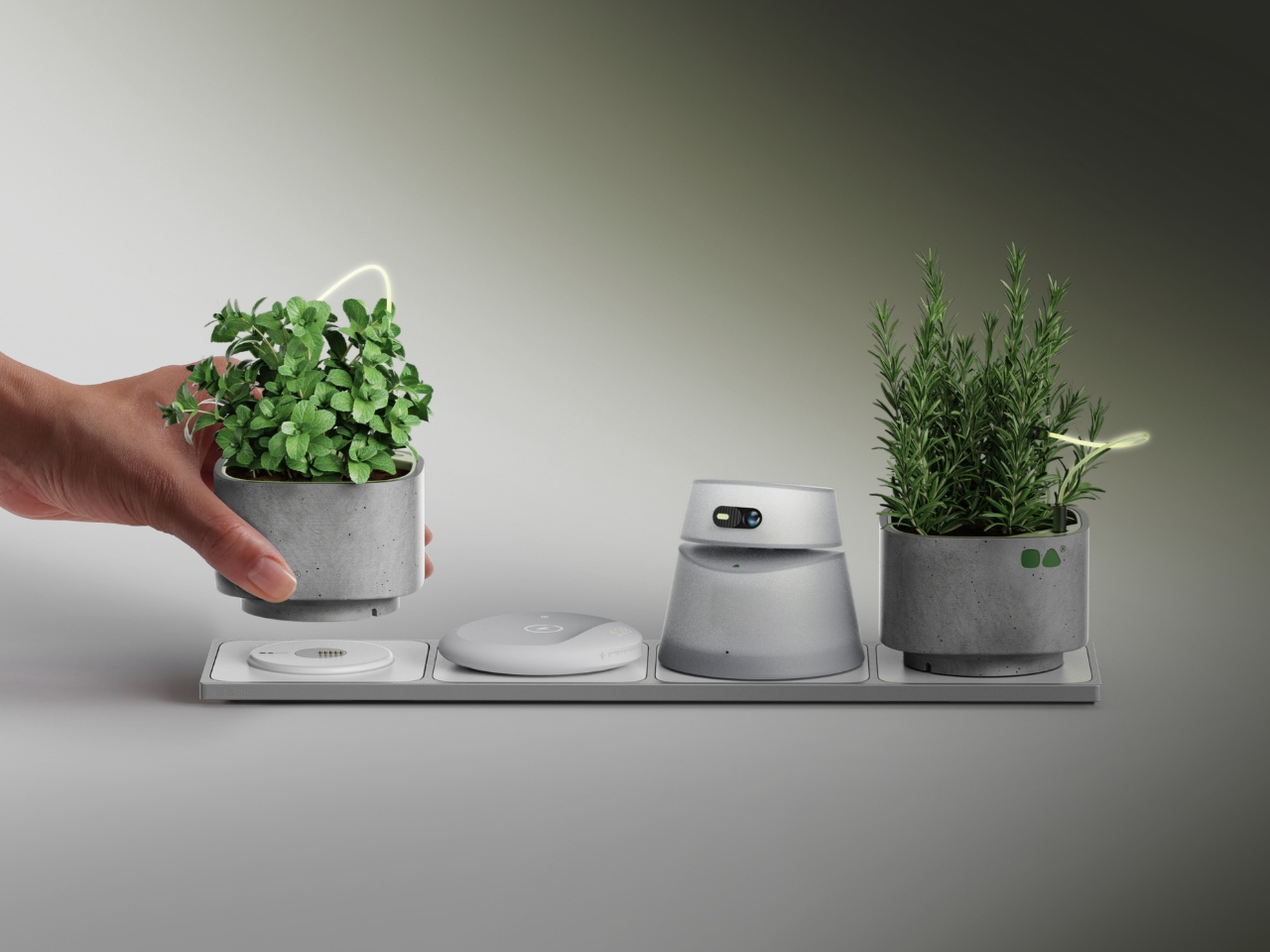 OASIS，intelligence，Flowerpot，Housewear & Furnishings，