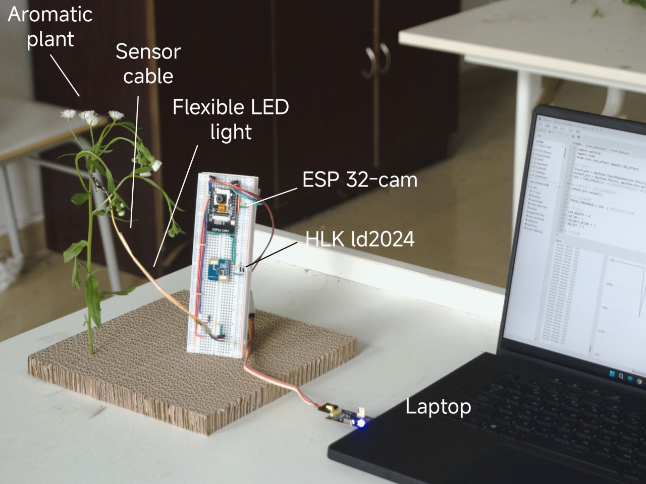 OASIS，intelligence，Flowerpot，Housewear & Furnishings，