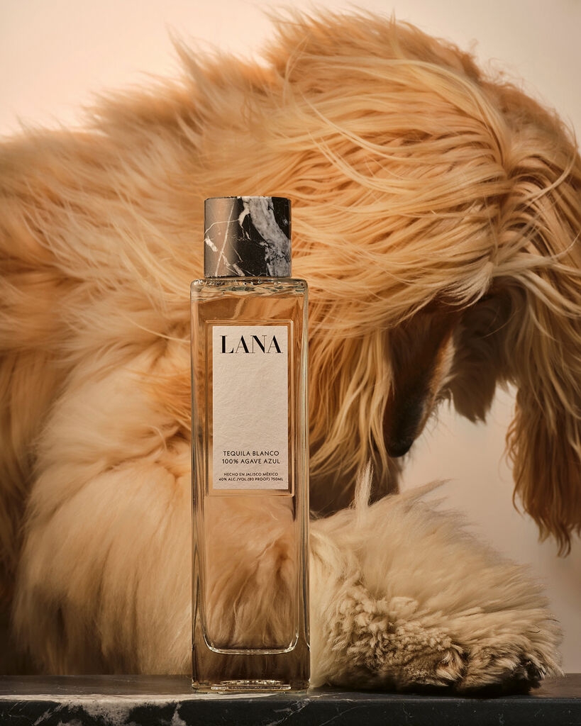 Zhejiang One Point，