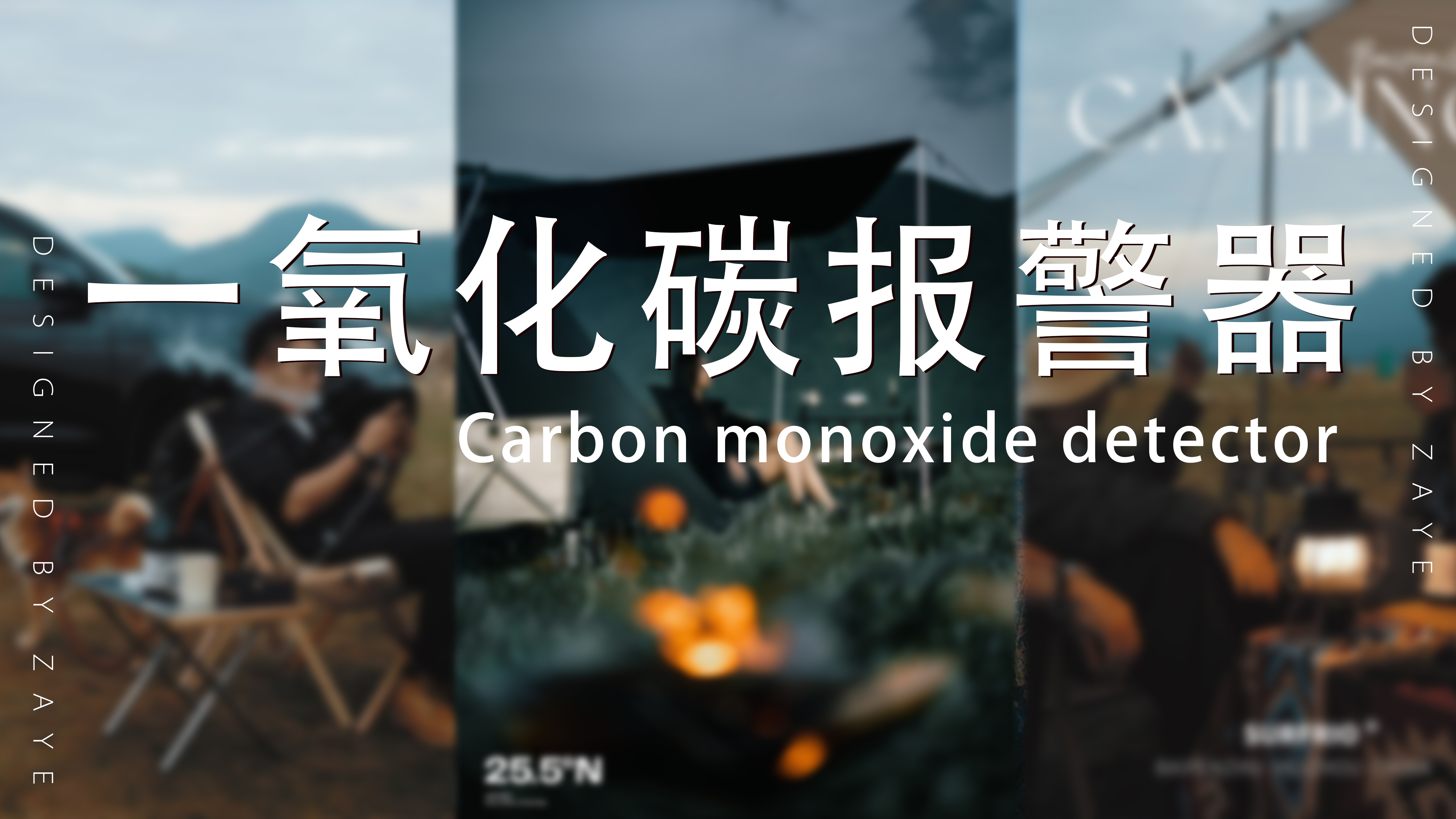 a burglar alarm，Carbon Monoxide Alarm ，fire alarm，